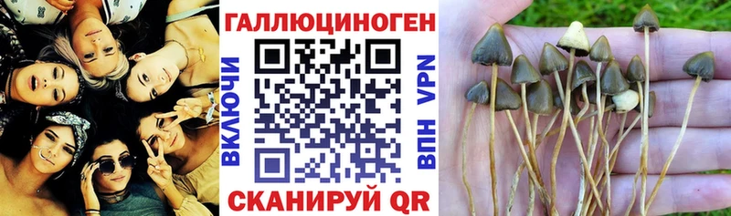 Галлюциногенные грибы MAGIC MUSHROOMS Лагань
